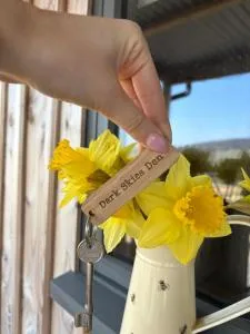 Dark Skies den - Fryup