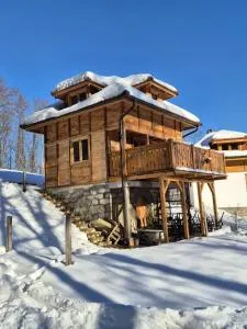 Living "Zvjezdan" - Lelić