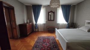 Domus Anicio - Spazioso Loft con Giardino