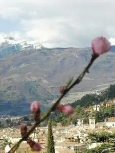 DOLCE DORMIRE - Isera