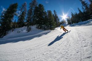 Chalets Chalet Les ecrins Guillestre Vars Risoul Queyras : photos des chambres