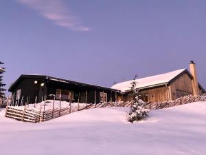 Birkenstua