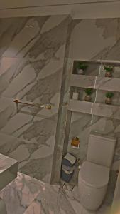 شقه فندقيه بالدقي ميدان المساحه