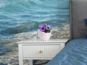 Bursztynowy Brzeg - Mechelinki Revital