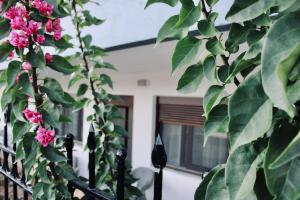 SeaShell Oasis Apartment