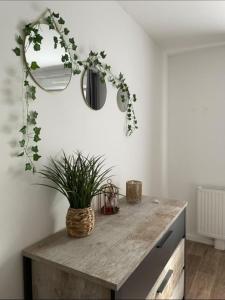 Appartements Appart Cosy de Kalou : photos des chambres