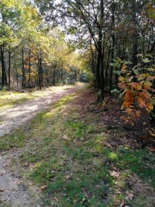 Chalet 18 - Bungalowpark De Kern