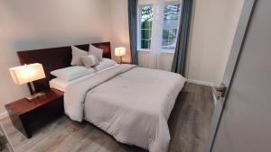 New Beautiful Contemporary Home in Pinole Hill