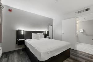 Queen Room - Disability Access room in Motel 6-Oceanside CA