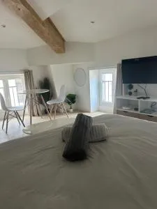 Studio en centre ville avec vue Rhône - 罗纳河畔的图尔农