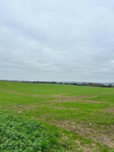 One Bed Cosy Flat Rural Location