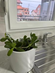 airport Belgrade 2bedrooms