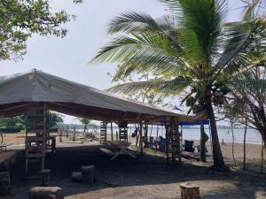 Apartamento de playa del Caribe