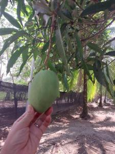 Apartamento de playa del Caribe