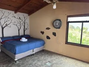 La Casa Del Lago - 奇奇卡斯特南戈