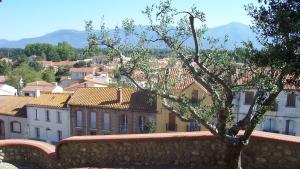 B&B / Chambres d'hotes L'Hostalet : photos des chambres
