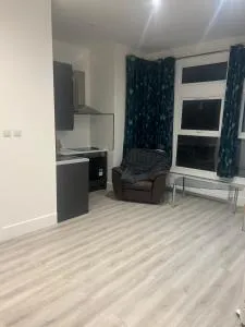 Great Ground Floor Studio Flat - 格林福德