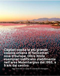 Luis&Susy Home, img11