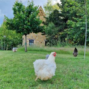 Les Granges Hautes, maisons de vacances, proches de Sarlat avec piscine, parc, : photos des chambres