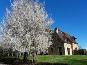 Les Granges Hautes, maisons de vacances, proches de Sarlat avec piscine, parc, : photos des chambres