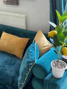 Appartements Large Studio with Terrace : Appartement 1 Chambre