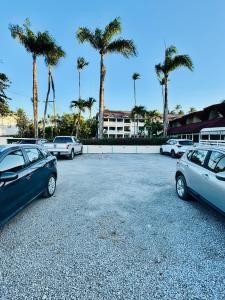 La Dolce Vita 7 emocionante y cautivador