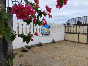 Calishores Beachfront Resort