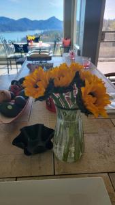 Dream View Lake House