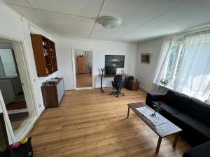 Krylbo Avesta in big wooden house