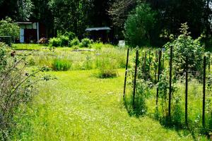 Krylbo Avesta in big wooden house