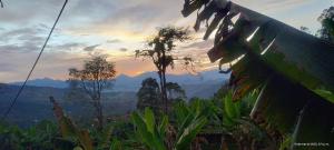 Hotel Vista Farallones