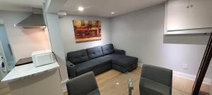 Basement Studio