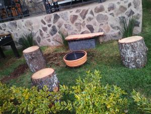 SENDERO REAL Mazamitla 4