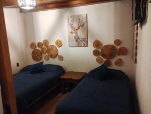 SENDERO REAL Mazamitla 4