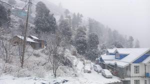 Palki Camps and Resorts