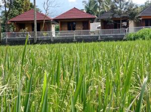 Arif Bungalows Lombok