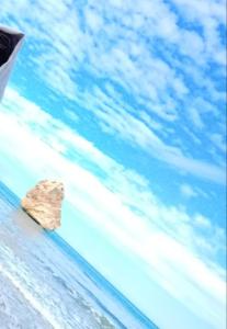 Makam Marsa ben Mhidi Telemcen