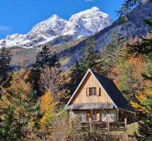 Cozy Private Cabin in the heart of Triglav National Park - 特伦塔