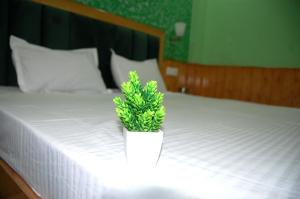 Himalya Sun-Dawn Home Stay Kufri