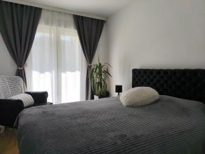 Apartman KUM