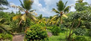 Yaya Estate