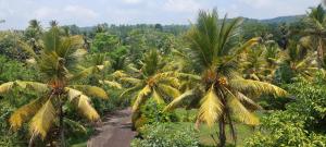 Yaya Estate