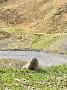Appartements Appartement vue montagne au Royal Milan : photos des chambres