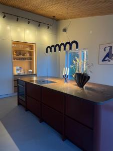 Modern house with lakeview - near town and nature