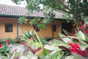 Mountain Park Santa Helena