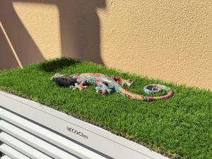 Appartements Splendide - Piscine - Plage 500m : photos des chambres