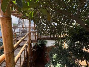 Garden Oasis Retreat