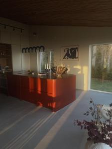 Modern house with lakeview - near town and nature