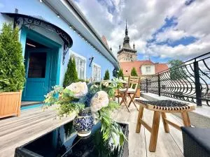 Casa Albastră by Casa Otto - 锡吉什瓦拉