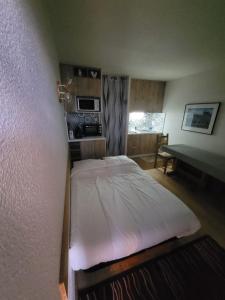 Superbe Appartement T2 - Alpe dHuez Quartier ECLOSE - vue imprenable exposé SUD